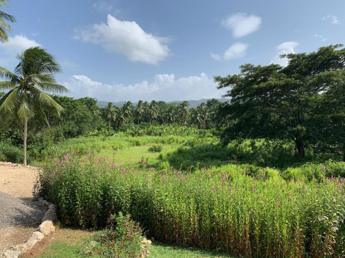 Green Queendom Farm And Lodging Oracabessa Exteriör bild