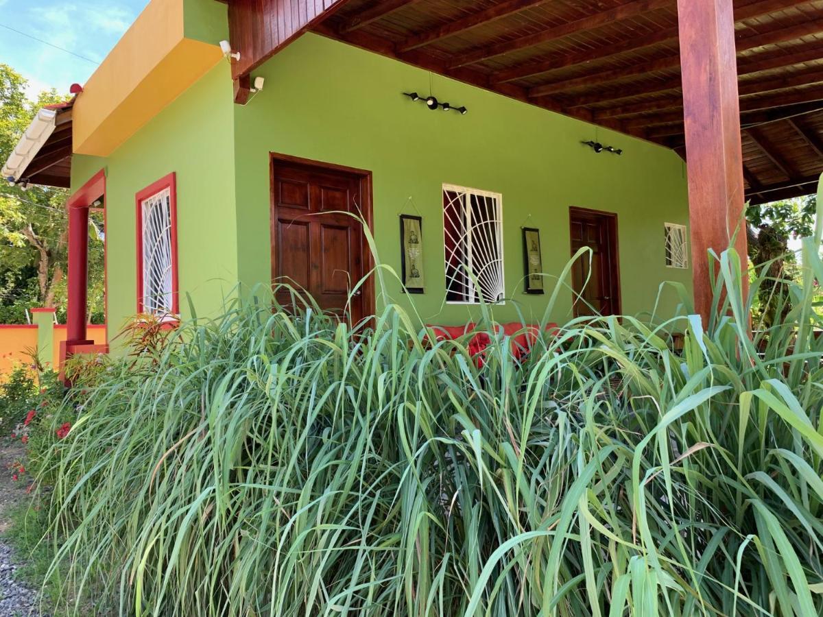 Green Queendom Farm And Lodging Oracabessa Exteriör bild